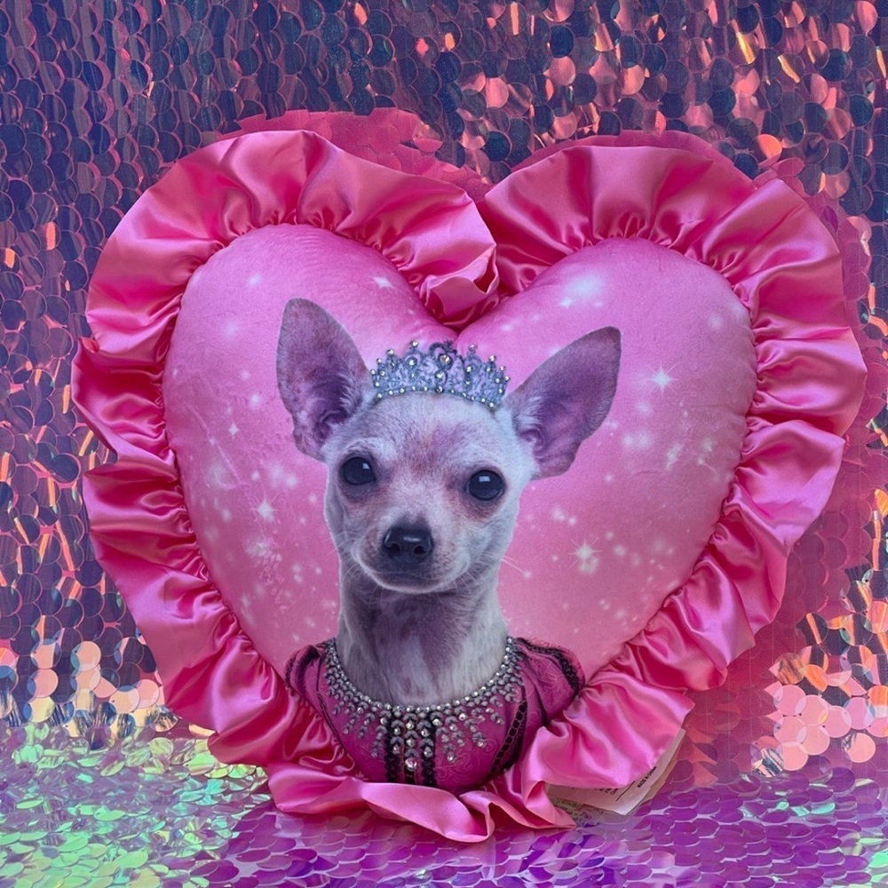 Dolls kill Princess Pooch Chihuahua Heart Shaped Pillow